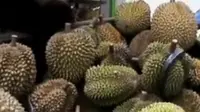 Di Rumah Durian Ini Anda juga bisa langsung memetik durian dari pohonnya.