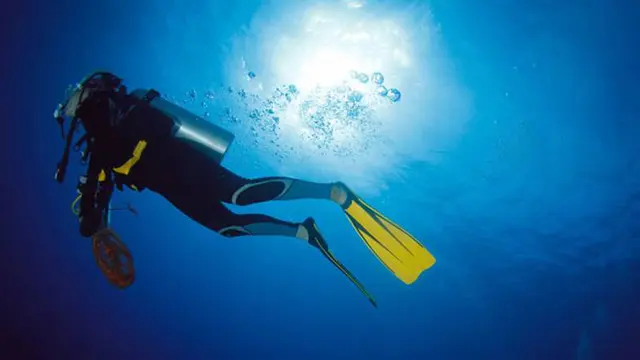 Marischka Prudence: Jangan Lakukan Hal Ini Saat Diving