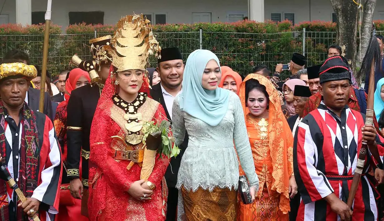 Berbagai prosesi adat Mandailing dimulai dengan pemotongan kepala kerbau, atau analpokkon lahan ni horja, margalanggang atau menari tortor dan sidang adat menentukan gelar pada kedua pengantin. (Deki Prayoga/Bintang.com)