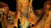 Suatu mumi Mesir Kuno memiliki ciri yang belum pernah ditemukan pada mumi-mumi sebelumnya.