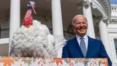 Presiden Amerika Serikat (AS) Joe Biden berdiri di samping Liberty, salah satu dari dua kalkun Thanksgiving nasional, setelah memberikan pengampunan kepada mereka dalam upacara di Halaman Selatan Gedung Putih, Washington, AS, Senin (20/11/2023). (AP Photo/Andrew Harnik)
