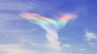 Burung `Phoenix` tersebut membuat heboh banyak orang karena muncul di langit, apakah benar merupakan sosok sang burung api? (ABCNews.com)
