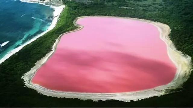 Foto: copyright oddee.com