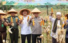 Polda Banten Perkuat Swasembada Pangan Nasional Lewat Panen Raya Jagung