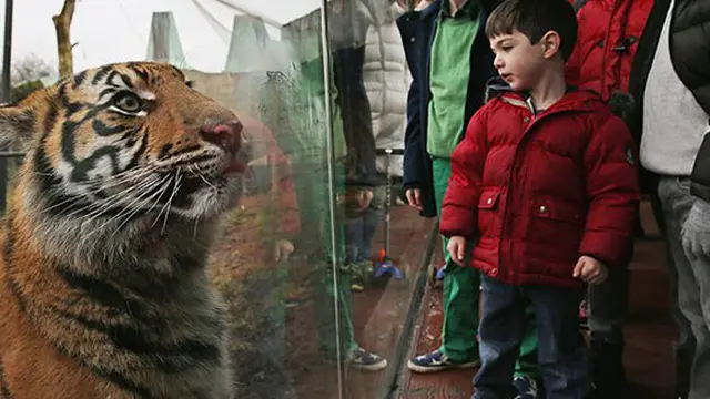 copyright People.com