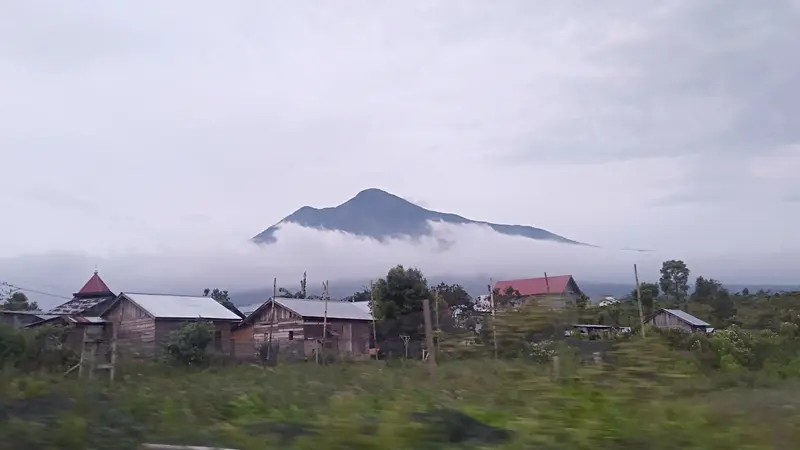 Gunung Masurai terlihat dari Desa Sungai Lalang, Kecamatan Lembah Masurai, Kabupaten Merangin, Jambi. (Liputan6.com/Gresi Plasmanto)