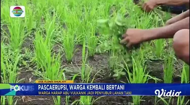 Simak informasi dalam Fokus Pagi edisi (14/01) dengan beberapa topik sebagai berikut, Banjir Terjang Permukiman, Jalan Lintas Barat Sumatra Longsor, Rumah Terbakar, Satu Tewas, Bentrok Massa Perguruan Silat, Banjir Rob Terjang Permukiman.