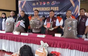 38 Kilogram Ganja dan 169 Pohon Disita di Papua