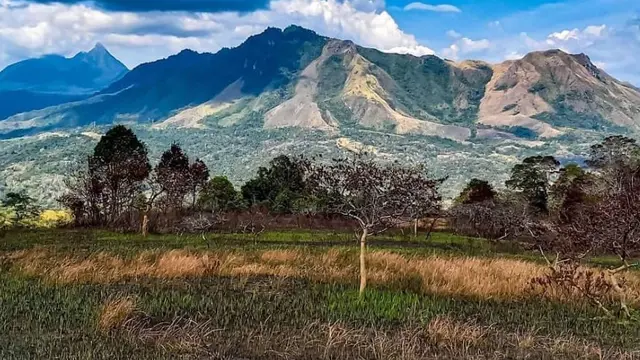 Kawasan Taman Nasional Gunung Gandangdewata