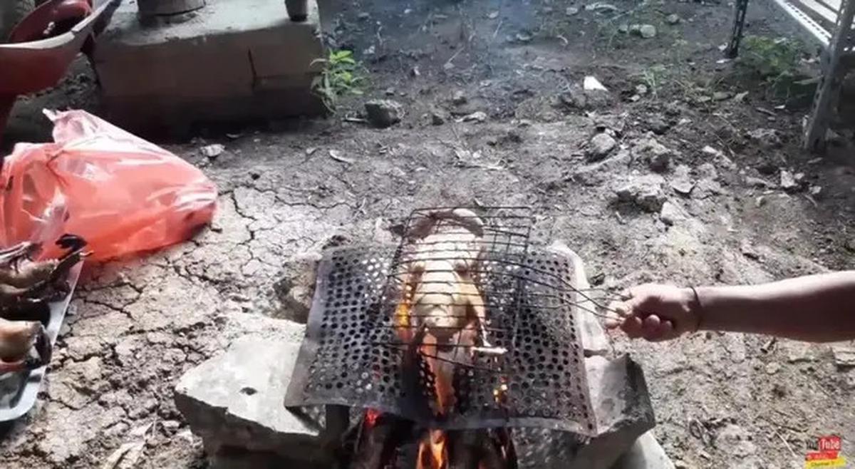 Cara Jitu Menghilangkan Lemak pada Daging Bebek agar Bebas Kolesterol