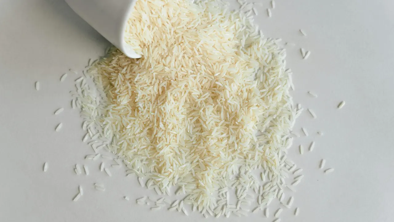 Nasi Sisa
