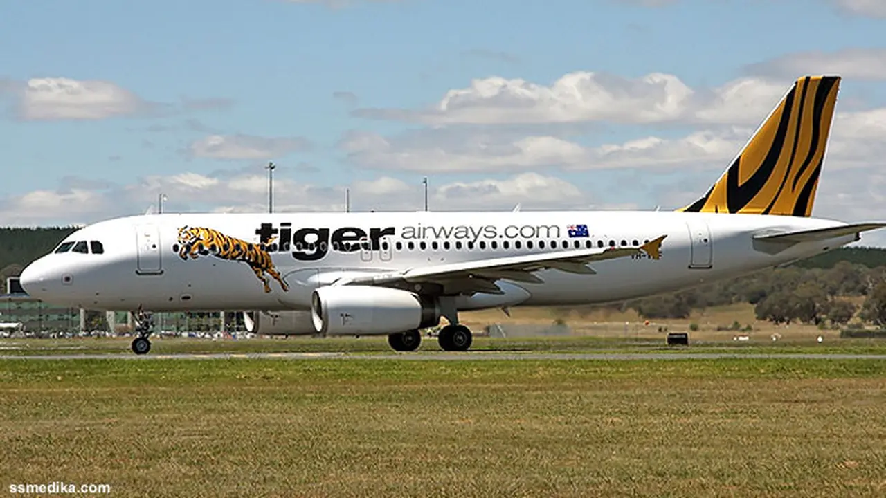 tiger-130506b.jpg
