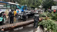 Pasca Pohon Palem Pondok Indah Timpa Mobil Lexus, 5.000 Pohon Rawan Tumbang Akan Dipasang Penyangga