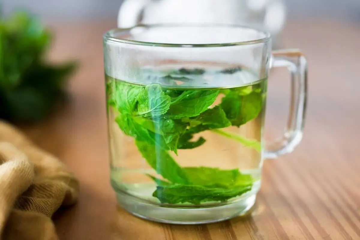 Rebusan Daun Herbal