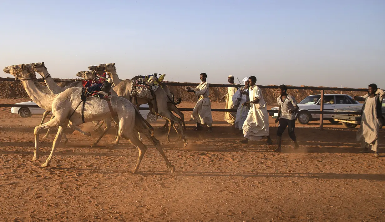 Pemilik unta bersorak saat balapan di trek dekat desa al-Ikhlas, barat kota Omdurman, di Sudan, pada 19 Maret 2021. Perlombaan itu diselenggarakan oleh keluarga suku tradisional yang memelihara unta dari desa setempat untuk melestarikan dan merayakan warisan budaya mereka. (ABDULMONAM EASSA/AFP)