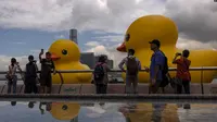 Anggota masyarakat memotret instalasi seni "Double Duck" seniman Belanda Florentijn Hofman di Pelabuhan Victoria, Hong Kong, Jumat, 9 Juni 2023. (AP/Louise Delmotte)