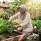 Cara Merawat Tanaman Kangkung agar Tumbuh Subur dan Cepat Panen