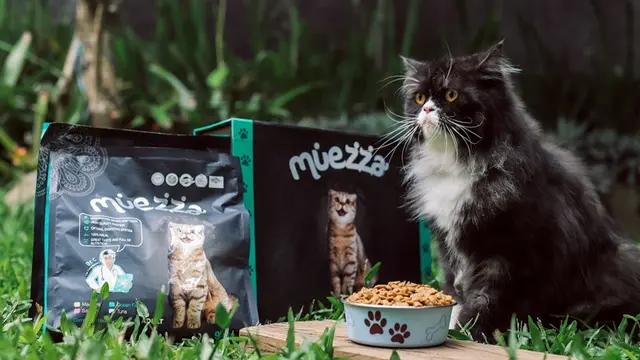 Awalnya Lucu, Aksi Kucing Merobek Kertas Bisa Memicu Gangguan Kesehatan