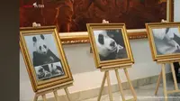 Prabowo Perkenalkan Bayi Panda ke Ketua MPR China: Namanya Satrio Wiratama