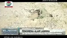 Air asin yang muncul di persawahan Dusun Brayukulon, Desa Brayublandong, Kecamatan Dawarblandong, Kabupaten Mojokerto ada di 10 titik. Fenomena alam ini tergolong aneh karena sulit ditemukan sumber air di wilayah ini.