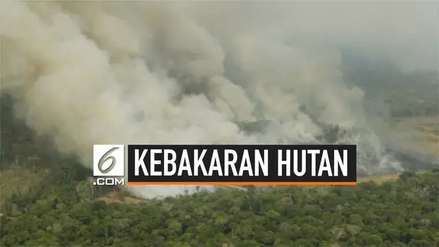 Greenpeace mengunggah video kebakaran hebat yang terjadi di hutan hujan Amazon, pemerintah Brasil mengirim 10 ribu tentara untuk mengatasi kebakaran tersebut.