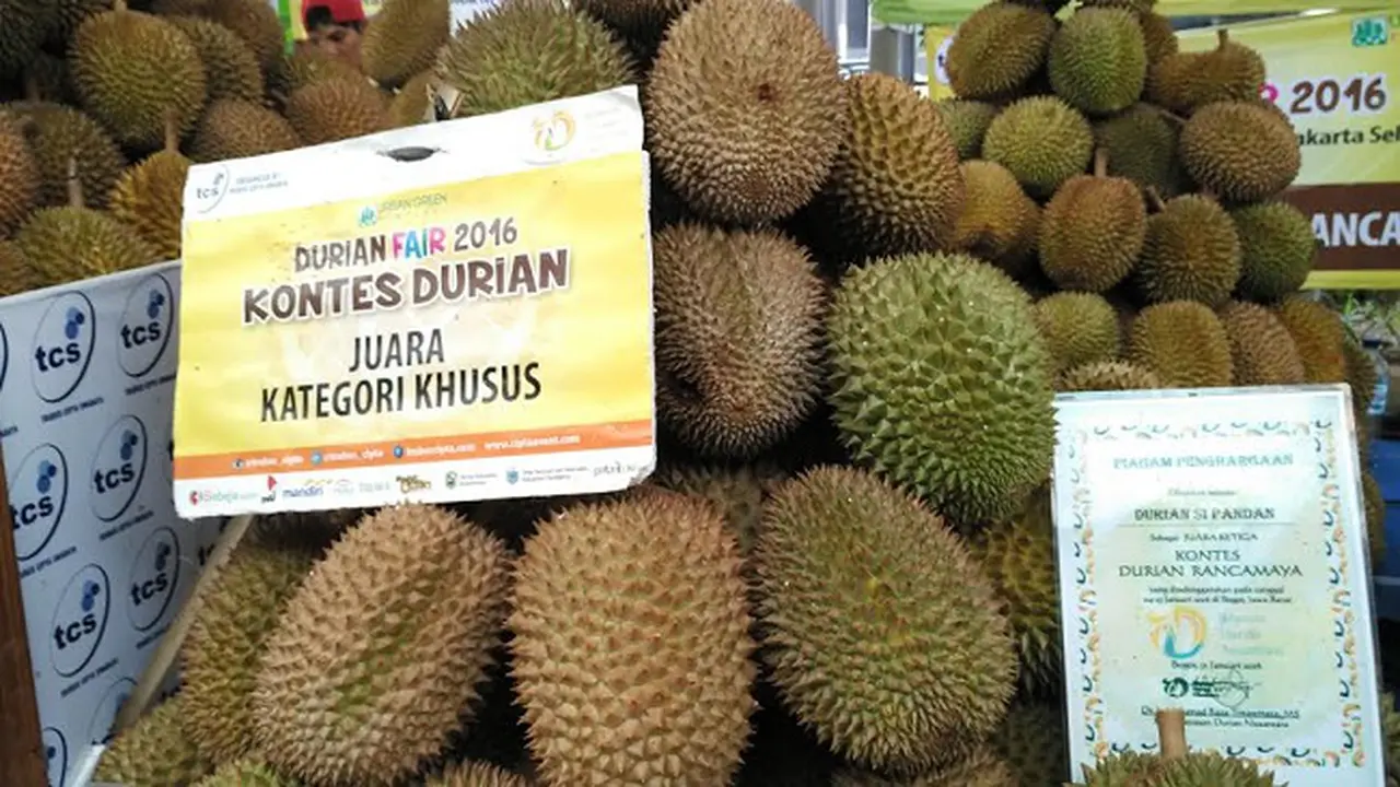 Kontes Durian pada Durian Fair 2016 di Jakarta