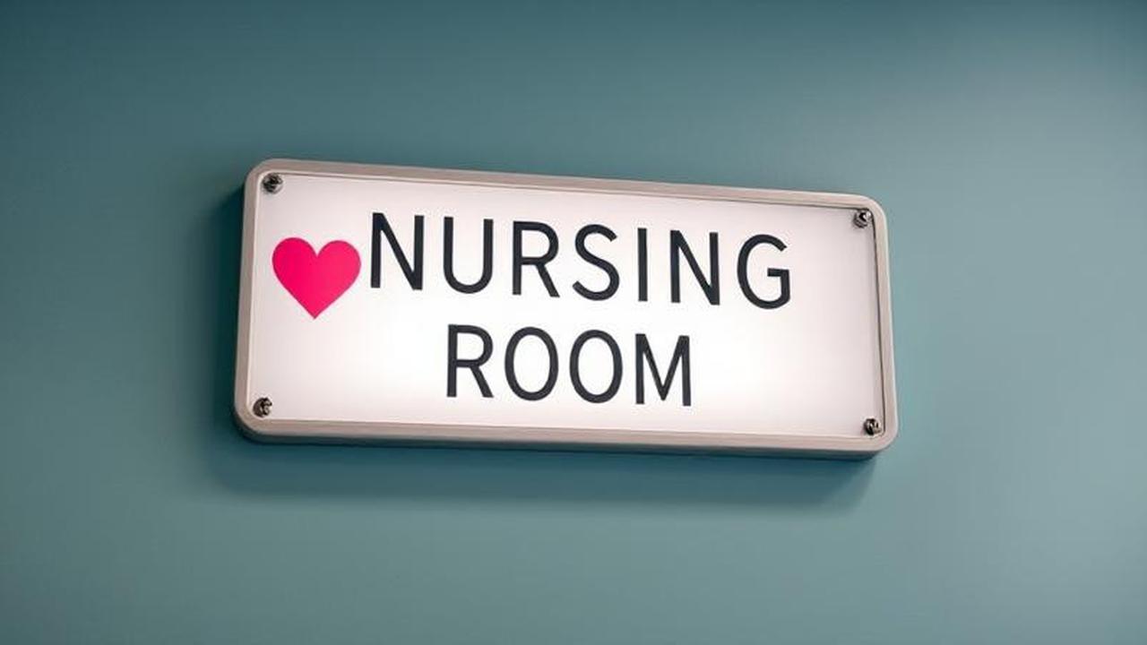 Mudik Lebaran 2025 Lebih Ramah Perempuan, Ada Ruang Laktasi di Rest Area