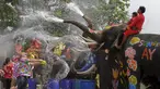 Gajah semprot wisatawan dengan air dalam perayaan festival air Songkran di Ayutthaya, Bangkok, Thailand (10/4/2015). Festival air songkoran menandai dimulainya Tahun Baru tradisional Thailand. (REUTERS/Chaiwat Subprasom)