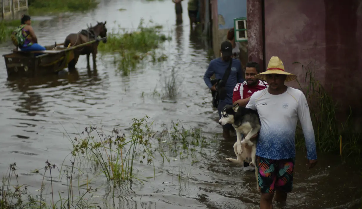 Dalam perjalanannya melintasi bagian barat Kuba, Idalia menumbangkan pepohonan, menyebabkan banjir yang meluas dan memutuskan aliran listrik. (AP Photo/Ramon Espinosa)