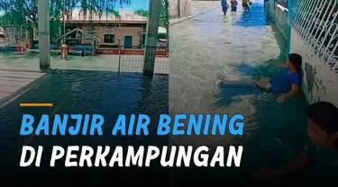 Fenomena alam banjir namun airnya bening di sebuah perkampungan menarik perhatian.