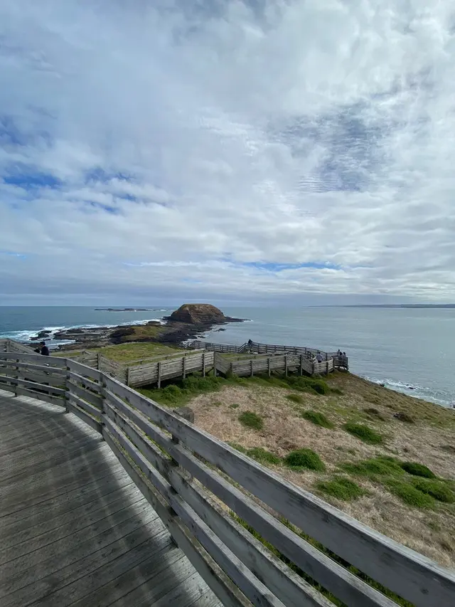 The Nobbies Boardwalk Lookout