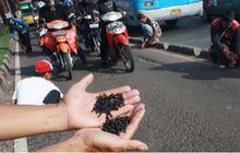 Ranjau Paku Mengintai, Ini Tips Aman untuk Pengendara Motor Pengguna Ban Tubeless