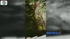 Petugas menyisir beberapa area kali dan memasang sejumlah perangkap jaring di bawah jembatan.