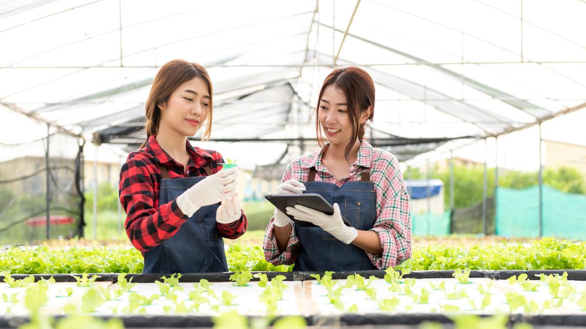 Urban Farming sebagai Tren Bisnis Green Living yang Tumbuh di Kota