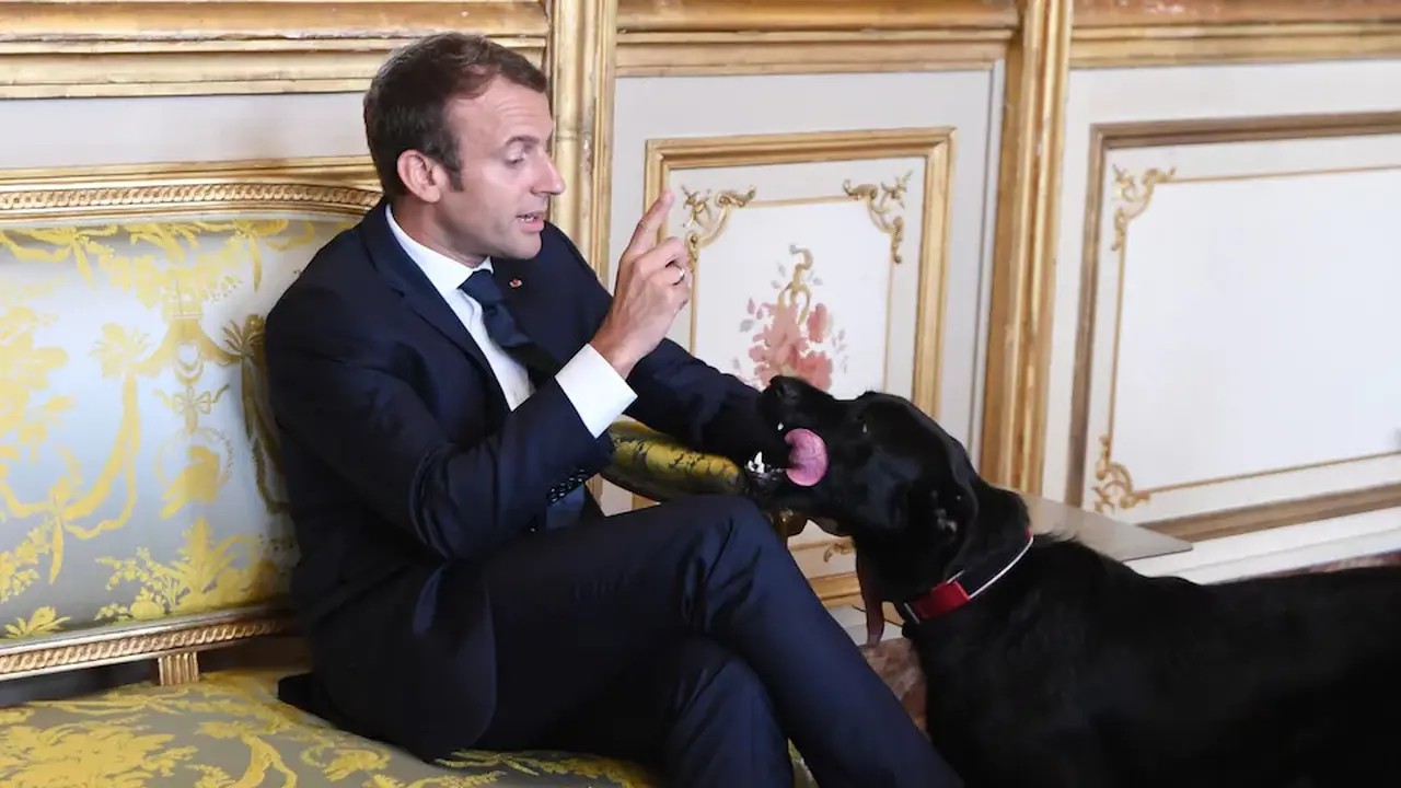 Presiden Prancis Emmanuel Macron bersama anjing peliharaannya, Nemo di Elysee (AFP)