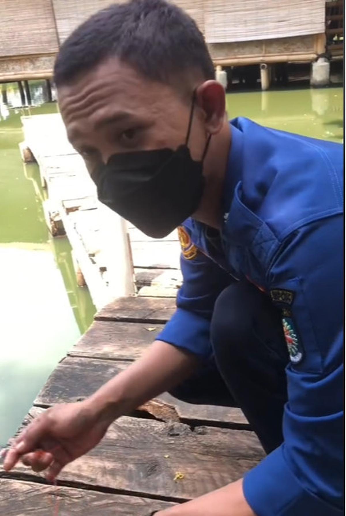 Viral Aksi Damkar Evakuasi Ikan Aligator di Kolam Sekolahan, Curi Perhatian