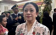 Balita Raya Meninggal Akibat Infeksi Cacing, Puan Ingatkan RT & Posyandu Proaktif Pastikan Warga Cek Kesehatan