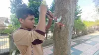 Siswa SMA Katolik Hikmah Mandala Banyuwangi peringati hari Pahlwan dengan cara mencabut paku dari pohon (Hermawan Arifianto/Liputan6.com)