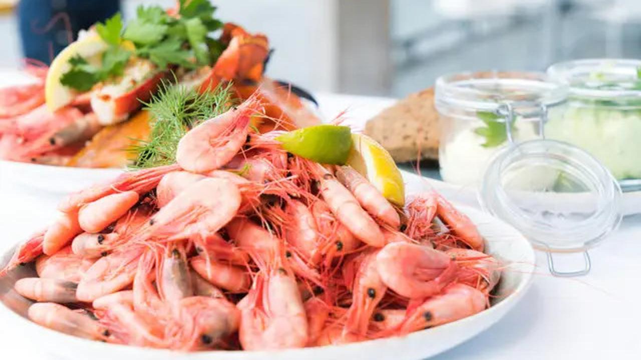 Rahasia Penyimpanan Udang agar Tetap Segar hingga Satu Bulan
