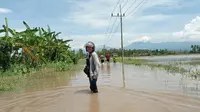 Warga Pakis Rowo Banyuwangi Mengeluh Daerahnya Jadi Langganan Banjir