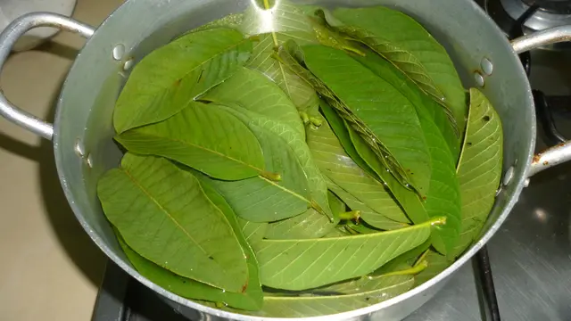 [Bintang] Punya Masalah Jerawat? Atasi dengan Daun Jambu Biji