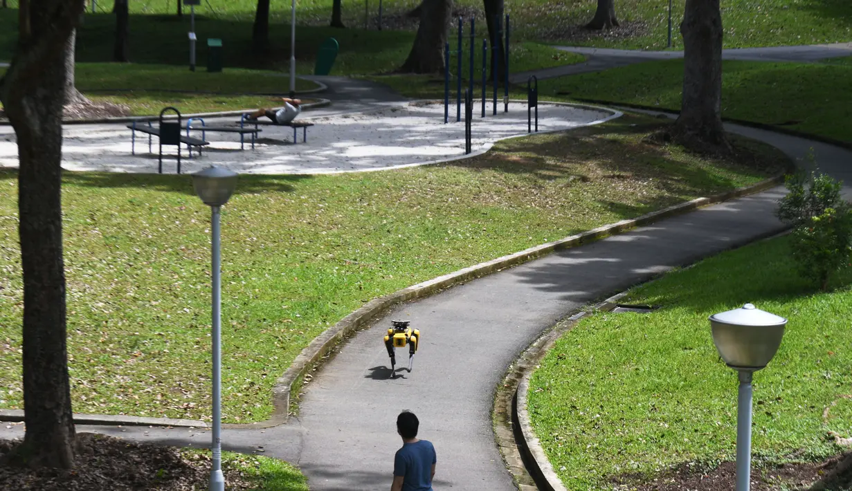 SPOT, robot anjing yang dapat mendeteksi apakah pengunjung memakai masker atau tidak menjalani uji coba putaran keduanya di Bishan Park Singapura, 22 September 2020. Uji coba ini bagian dari upaya melawan penyebaran COVID-19. (Xinhua/Then Chih Wey)