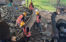 PLN EPI Target Serap 10 Juta Ton Biomassa 2030, Hasilkan Nilai Ekonomi Capai Rp4 Triliun