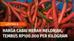 Suka cita menyambut Bulan Suci Ramadan, masyarakat justru dibuat resah dengan pedasnya harga cabai. Saat ini cabai dijual sekitar Rp 80 ribu sampai Rp 100 ribu per kilogram.