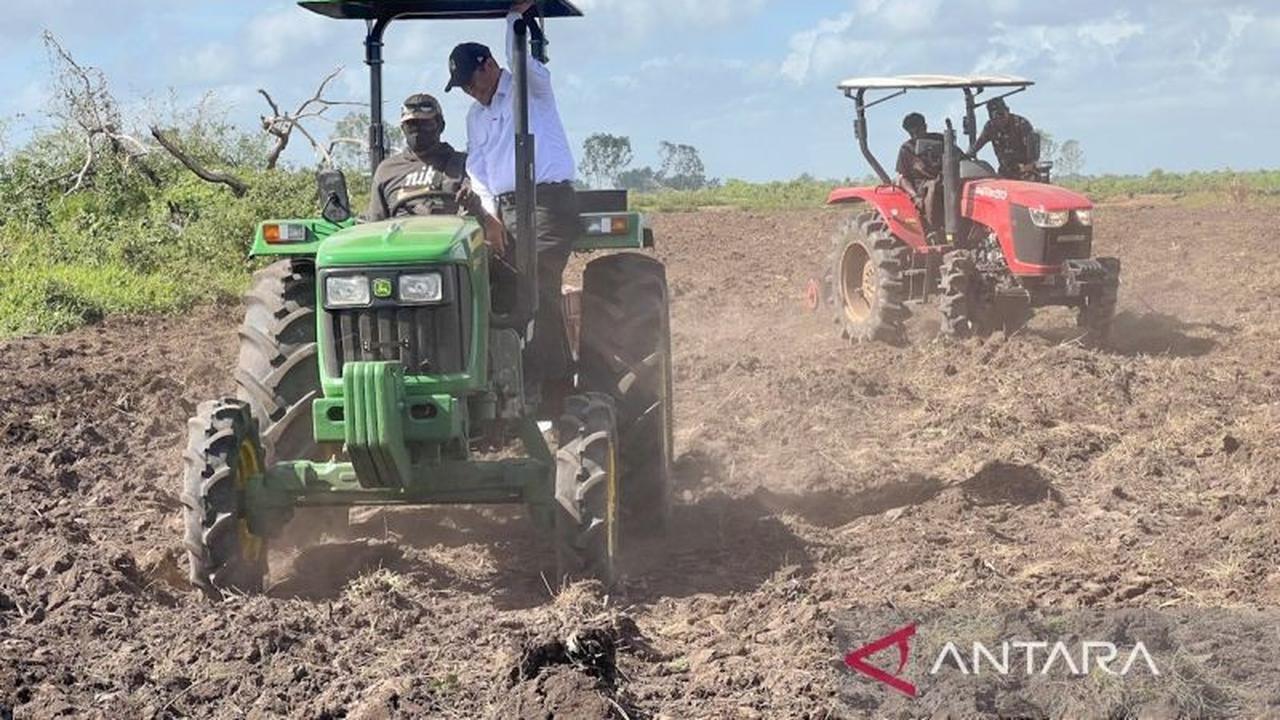 Mentan Amran Kawal Program Cetak Sawah, Perkuat Swasembada Pangan Papua Hingga 137 Ribu Hektare