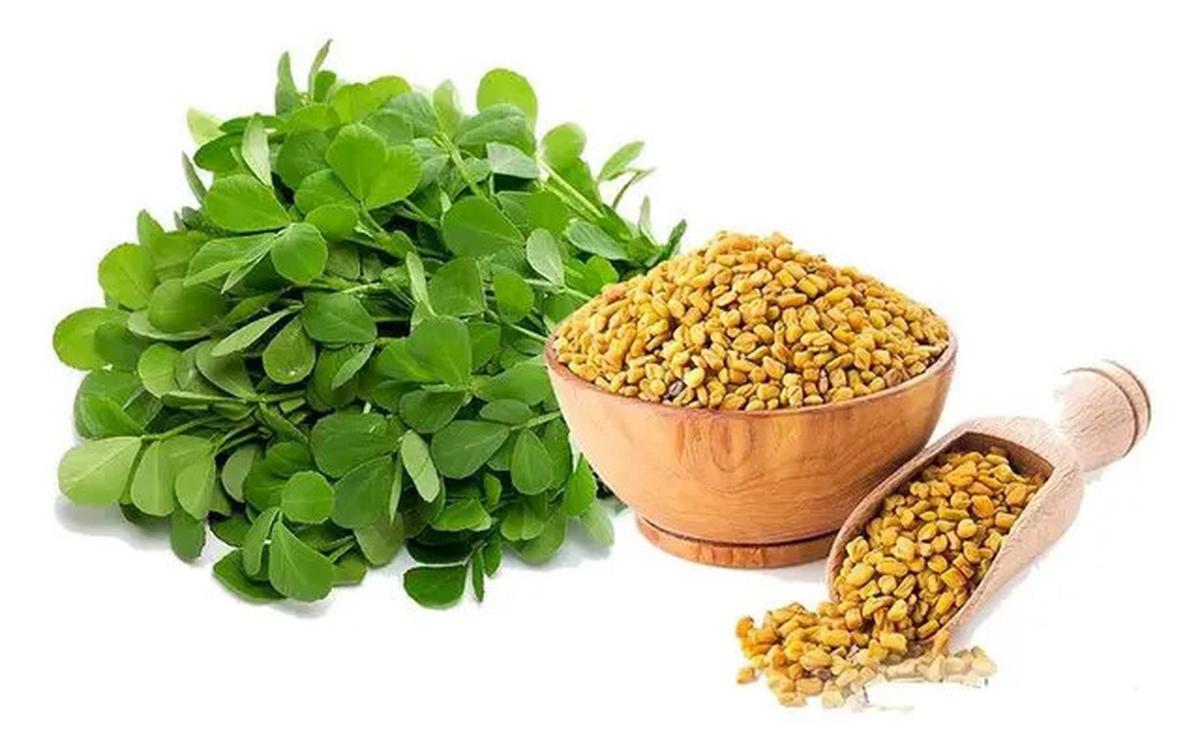 Obat Herbal Ampuh Turunkan Kolesterol, Jahe hingga Kunyit