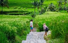Menilik Kehidupan Petani Blitar pada Masa Jawa Kuno, Pajak Sawah Naik karena Korupsi Dinas Agraria