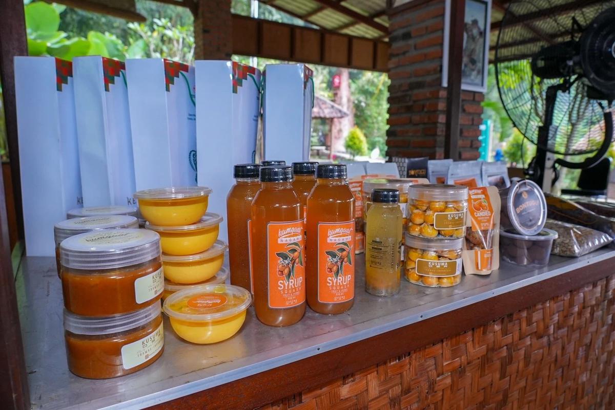 Desa BRILiaN Ketapanrame, Bukti Pemberdayaan Berbasis Potensi Lokal Mampu Ciptakan Ekonomi Desa yang Maju