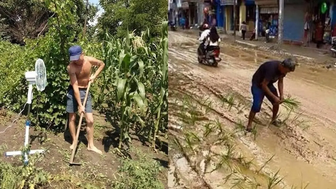 6 Kelakuan Bapak-Bapak saat Menamam Ini Bikin Geleng Kepala
