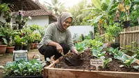 Cara Menanam Kembang Kol dari Benih hingga Panen Melimpah untuk Pemula